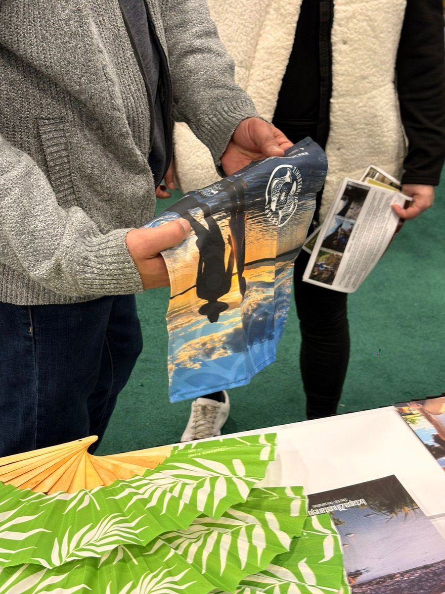 Ixtapa Zihuatanejo tweet media