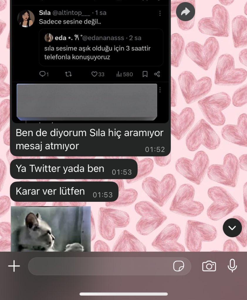 Sıla tweet media