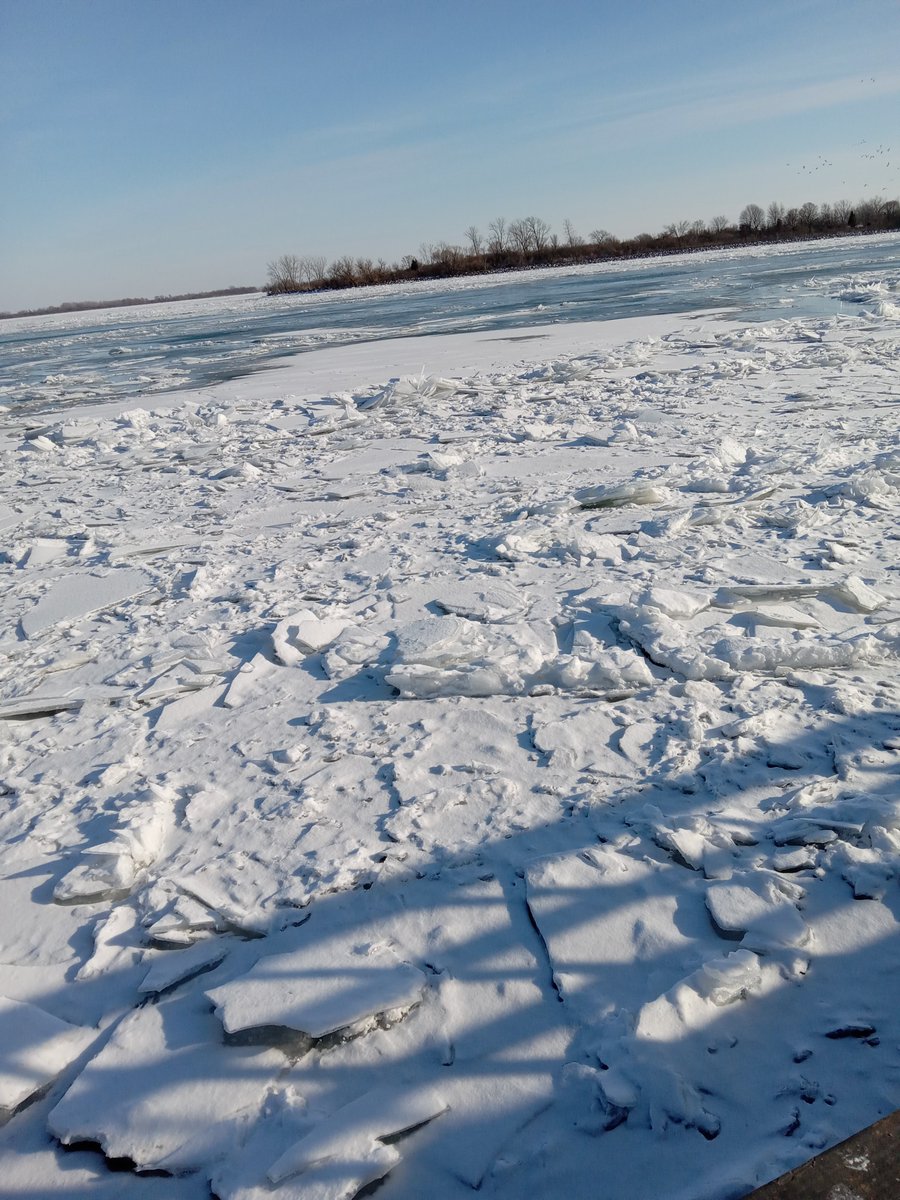 New Pop Lit tweet media