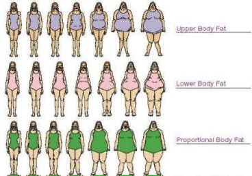 (*´ω`*) tweet media