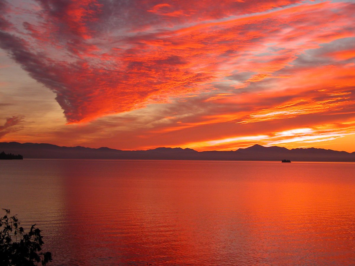 Conor Rogers tweet media