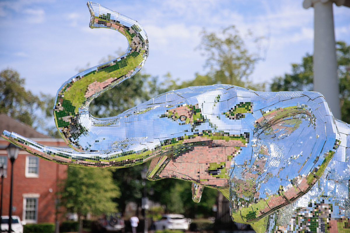 The University of Alabama tweet media