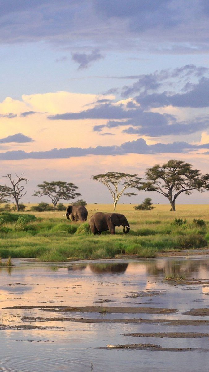 The Nature tweet media