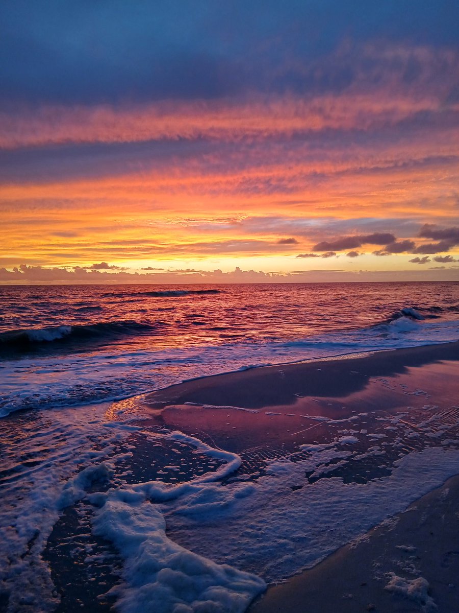 Peter Daou tweet media