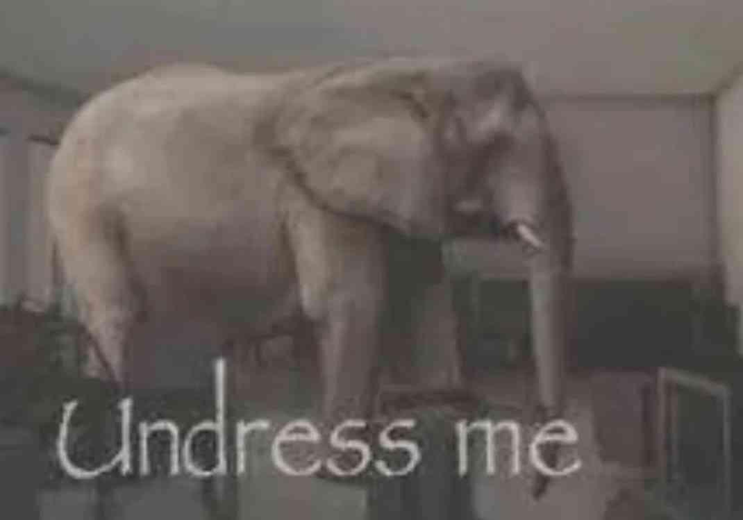 FloweryBasil🔆 tweet media