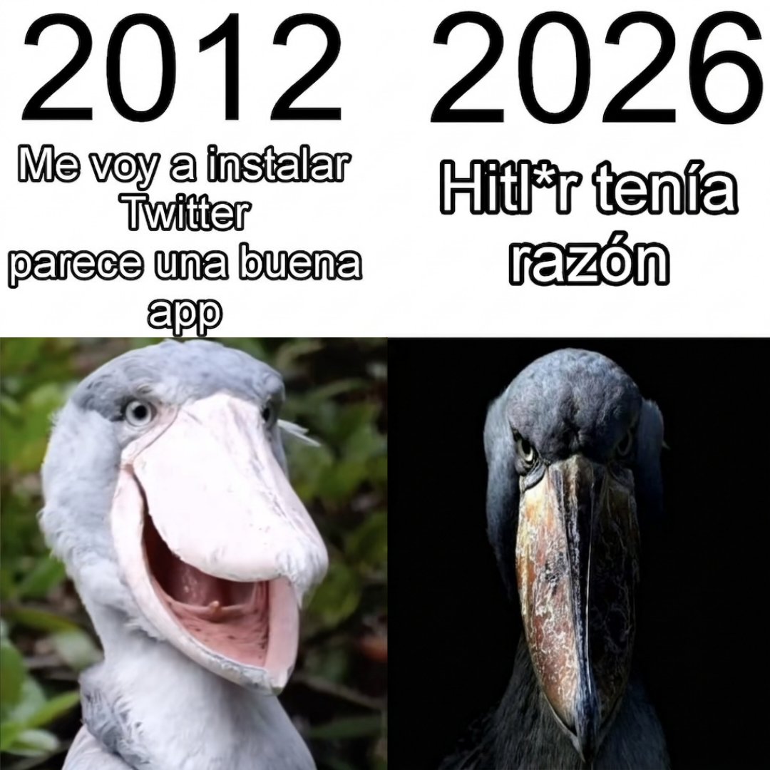 Santicius tweet media