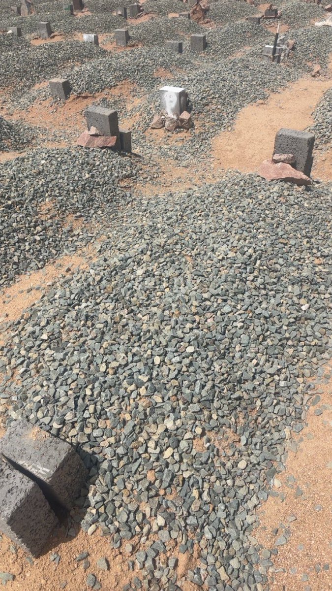 Abdulelah Alshahrani tweet media