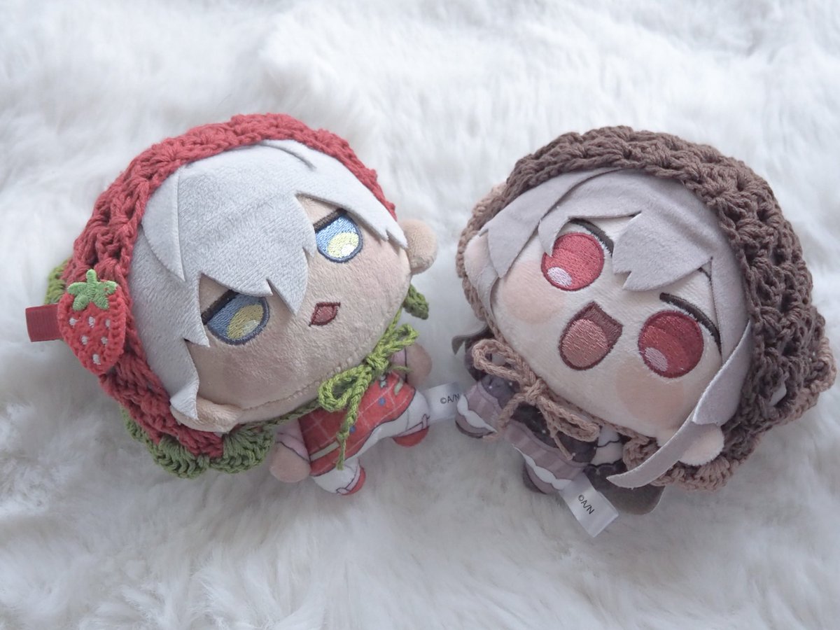 Peluche🧸🌈5/5東3な14ab tweet media