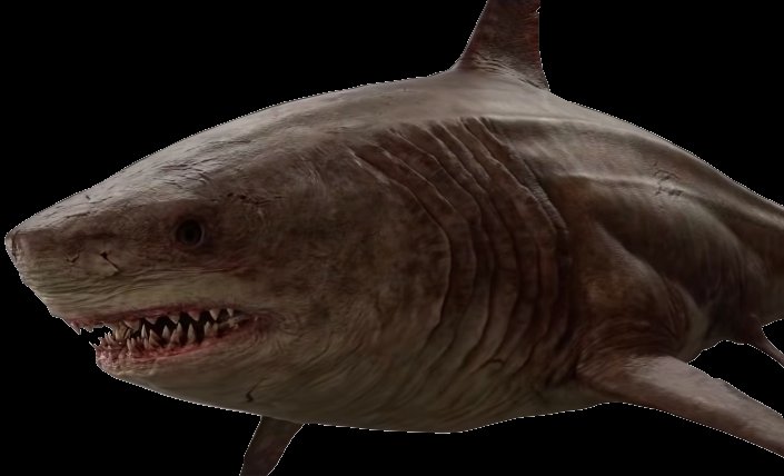 🪸 Cyclopes 🐙 tweet media