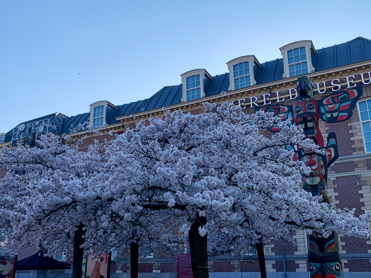 Denise Miltenburg tweet media