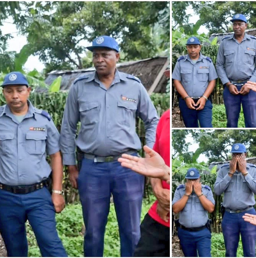 La Tijera News tweet media