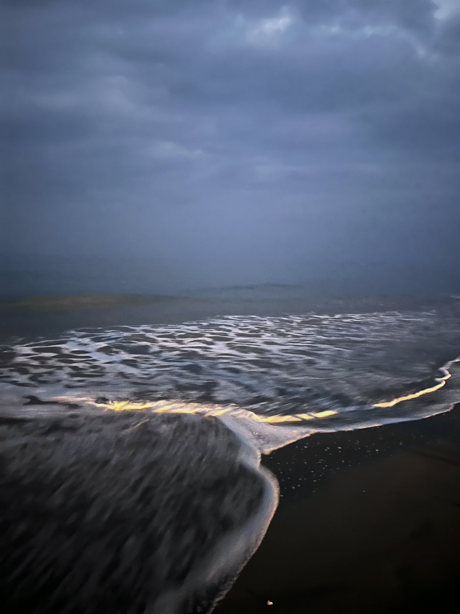 xp_rai0's tweet photo. 🐚🫧🌊 https://t.co/X2JTmfrplv