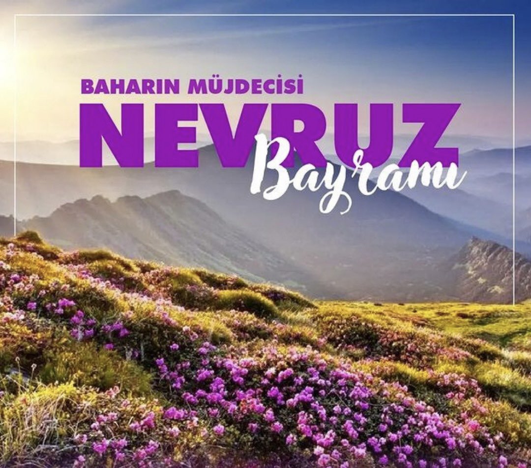 Cihan FULSER tweet media