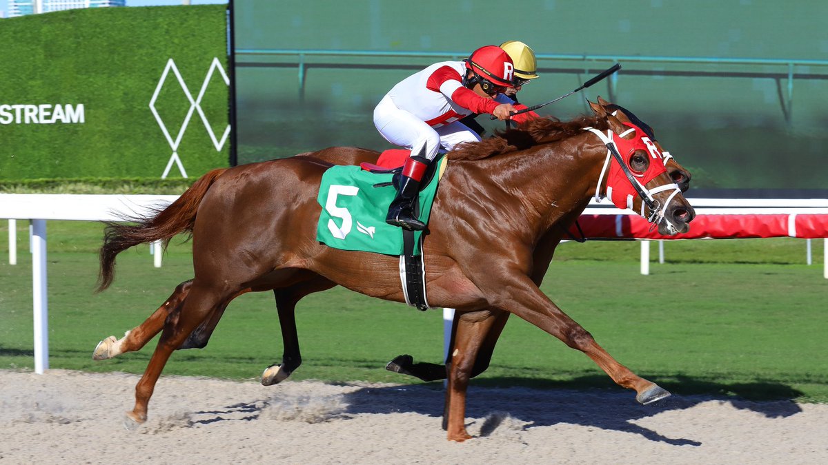 Ramsey Farm tweet media
