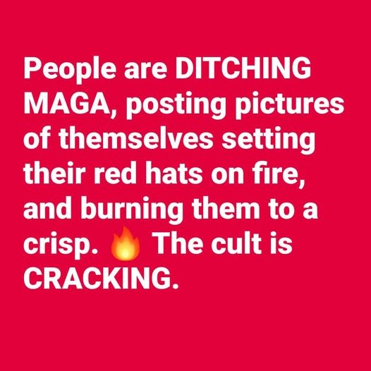 DonkConnects ♻️™ tweet media