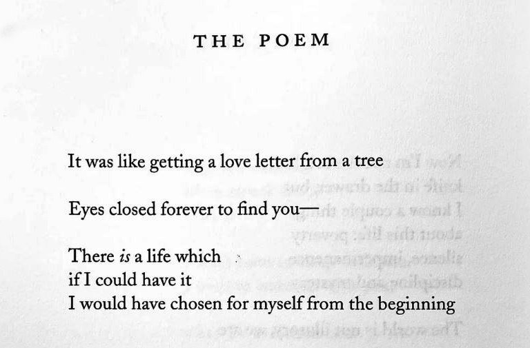 Isidro Li tweet media