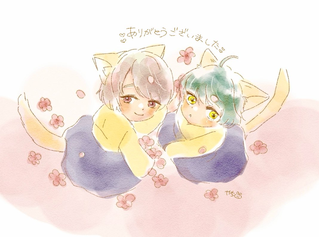 やち🍒 tweet media