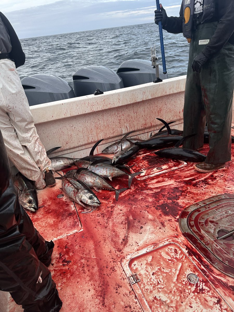 Tren Griffin tweet media