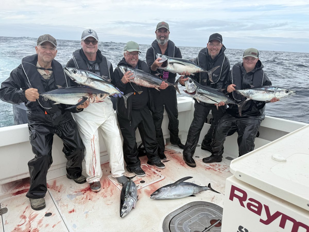 Tren Griffin tweet media