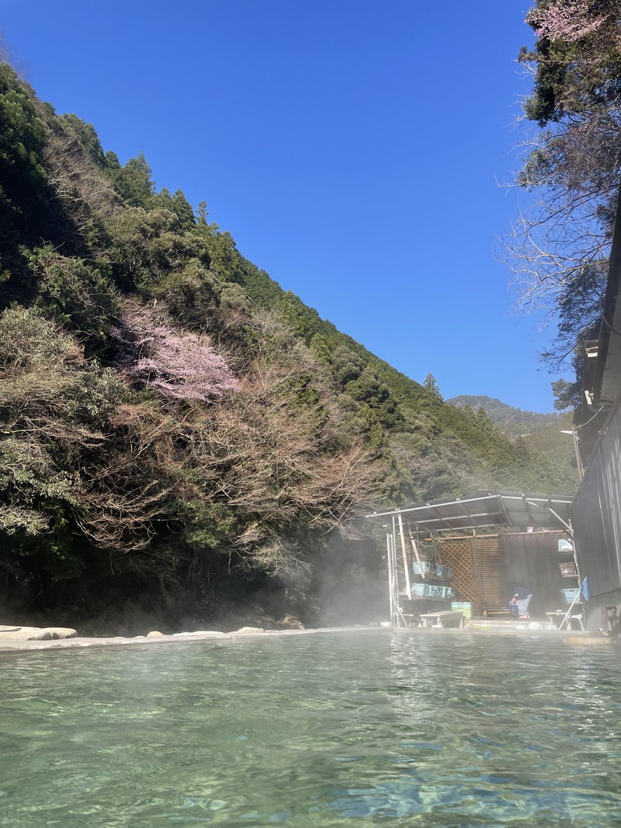 templateT's tweet photo. 上湯温泉からの熊野本宮大社でお参り、42号線北上で満喫した。
やっぱりこの辺りは好きやな。 https://t.co/sVGFqQVXon