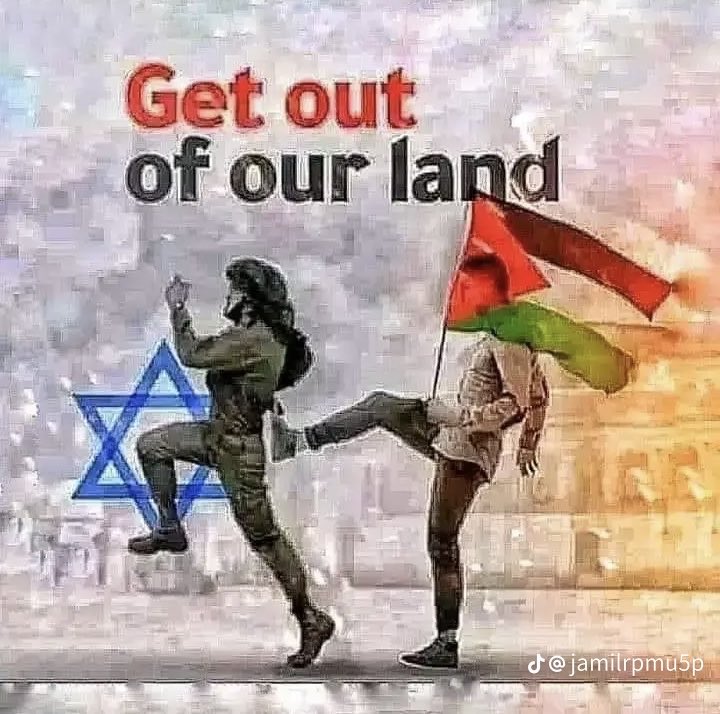 Zhukov45 tweet media