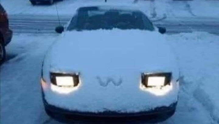 centipede of #shedtwt tweet media