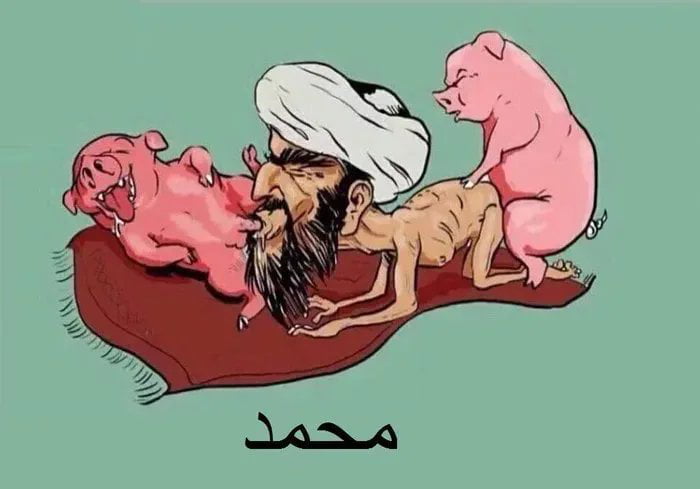 Baywolfx tweet media