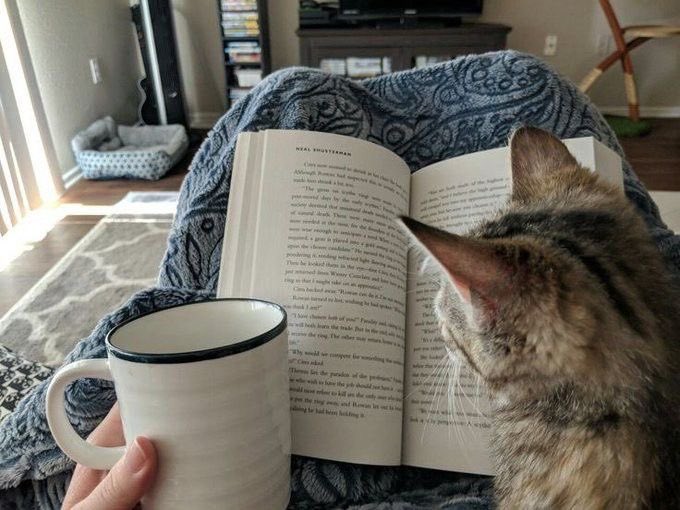 بحر 🌊 tweet media