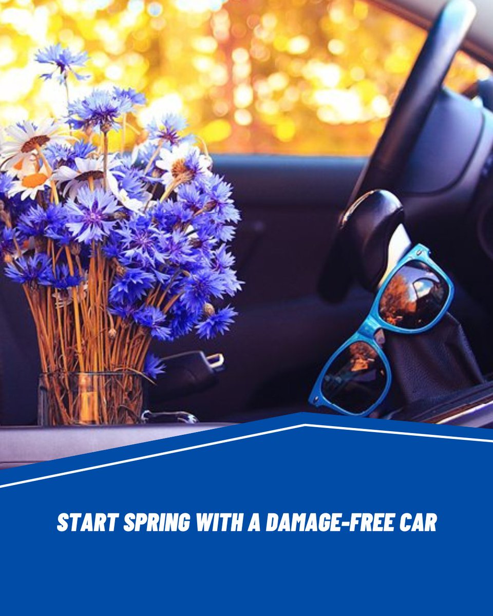 PrecisionAutoBo's tweet photo. New season, clean start. Schedule collision repair, and dent removal as part of your spring cleaning checklist for your vehicle. https://t.co/mh1jpKx28B