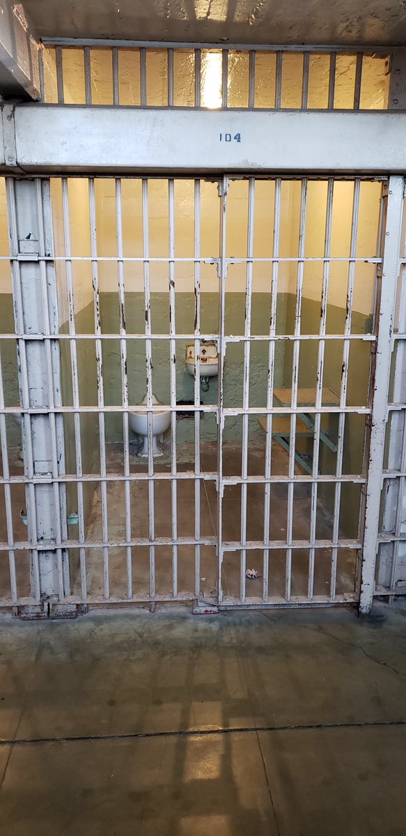 Noah Body tweet media