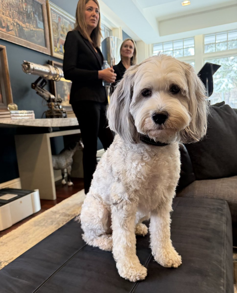 Danielle Smith tweet media