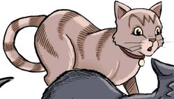 daily warrior cats pairs! tweet media