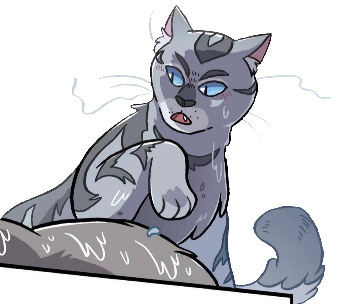 daily warrior cats pairs! tweet media
