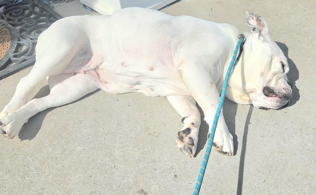 LongHairDon'tCare tweet media