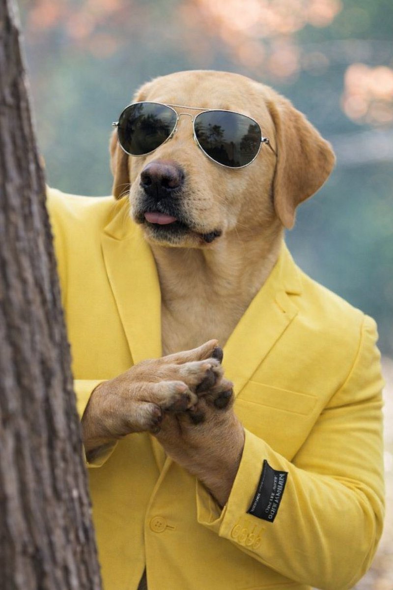 <a href="/Pumpfun/">Pump.fun</a> We are not the same 😏 

The $DOG pack has arrived. 

- Over $350k(!) added to LP
- PFP army with over 1000 memes
- Almost 2 months old 

A meme independent of virality or news.

A ticker everyone understands. 

A PFP everyone can rock.

A movement is born on <a href="/Pumpfun/">Pump.fun</a> 

The