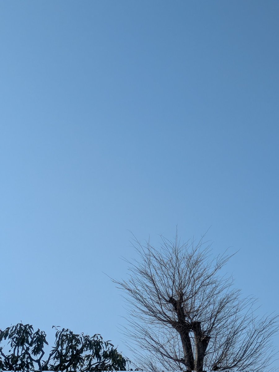 mokomoko0168's tweet photo. 🙂↕️皆様おはようございます🌞
#GoodMoreNing #イマソラ https://t.co/QbnGYin1iZ