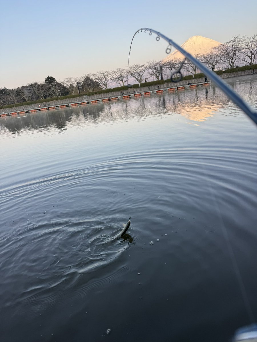 福田雅宏 tweet media