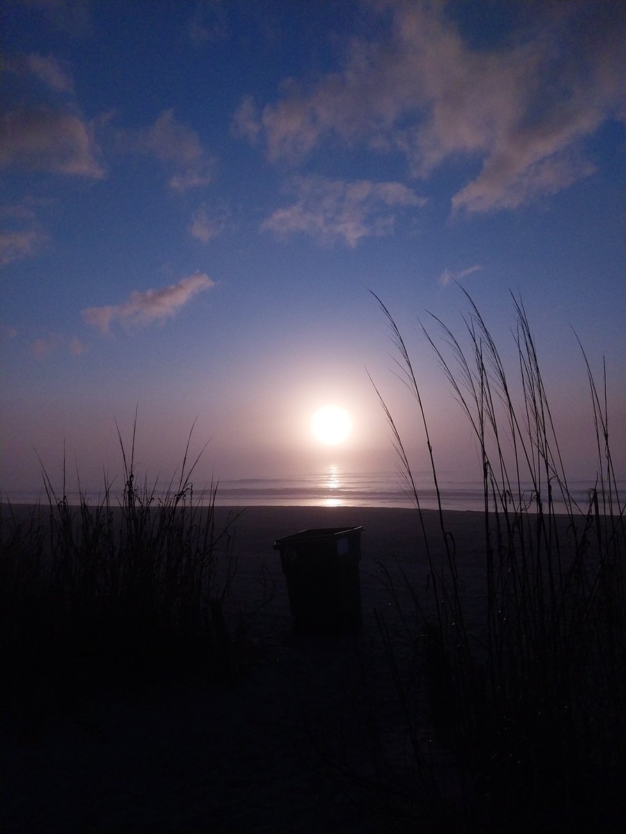 David @ Myrtle Beach tweet media