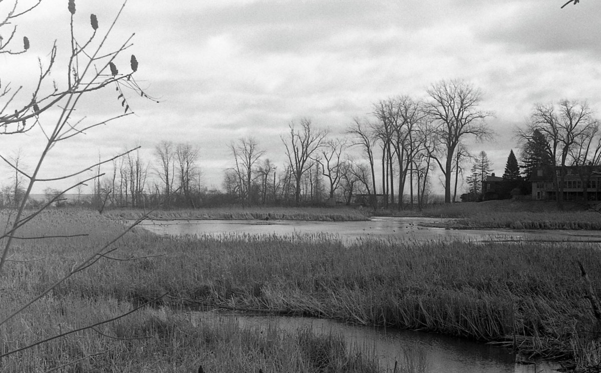 Mark Wilson tweet media