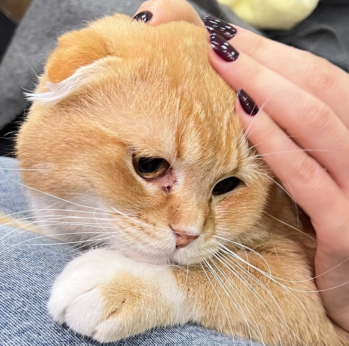 ּمۘـڼۨـٰا̍ڕ✨ tweet media