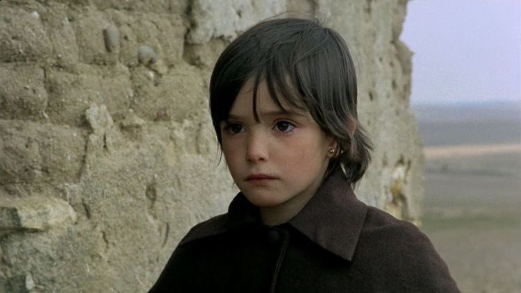 🐜🐜🐜 tweet media