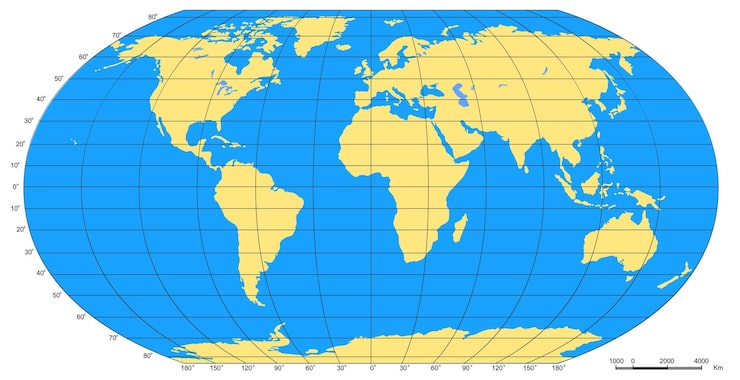 Rodny Blake Lyu tweet media