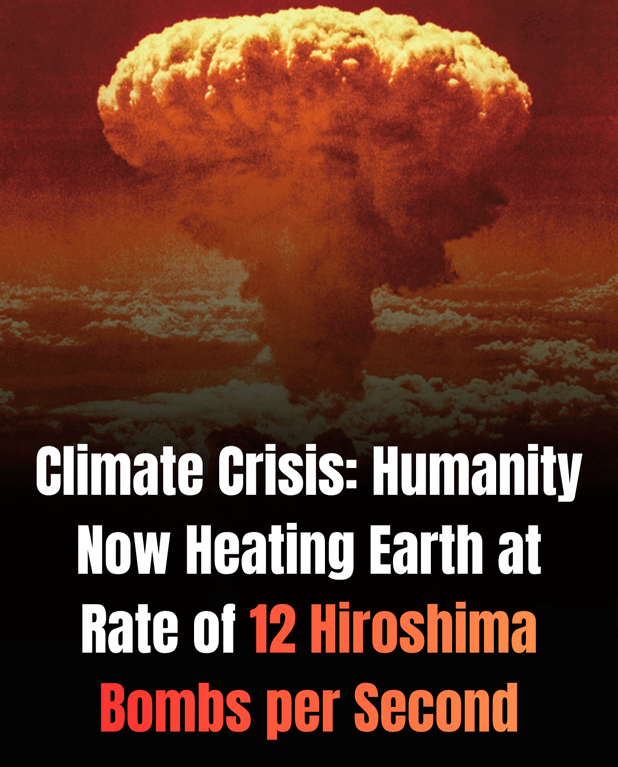 Paulo Houlden tweet media