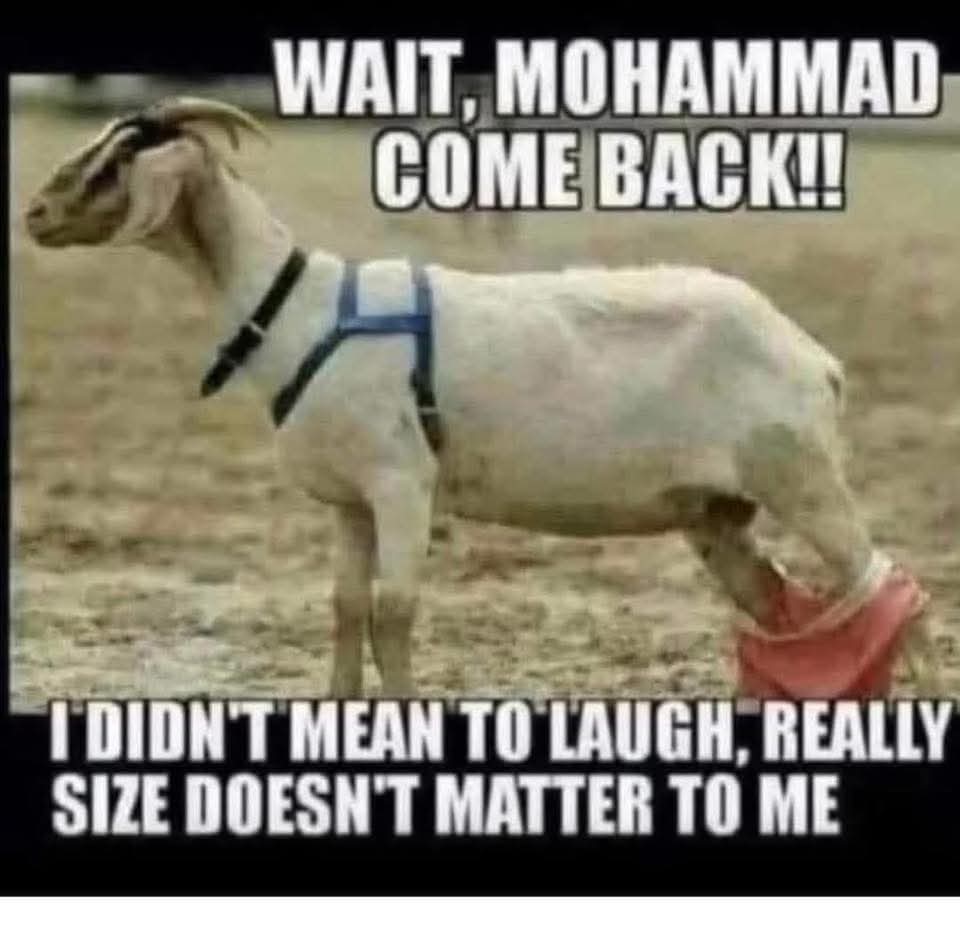 BOB (@b0__bby) on Twitter photo 