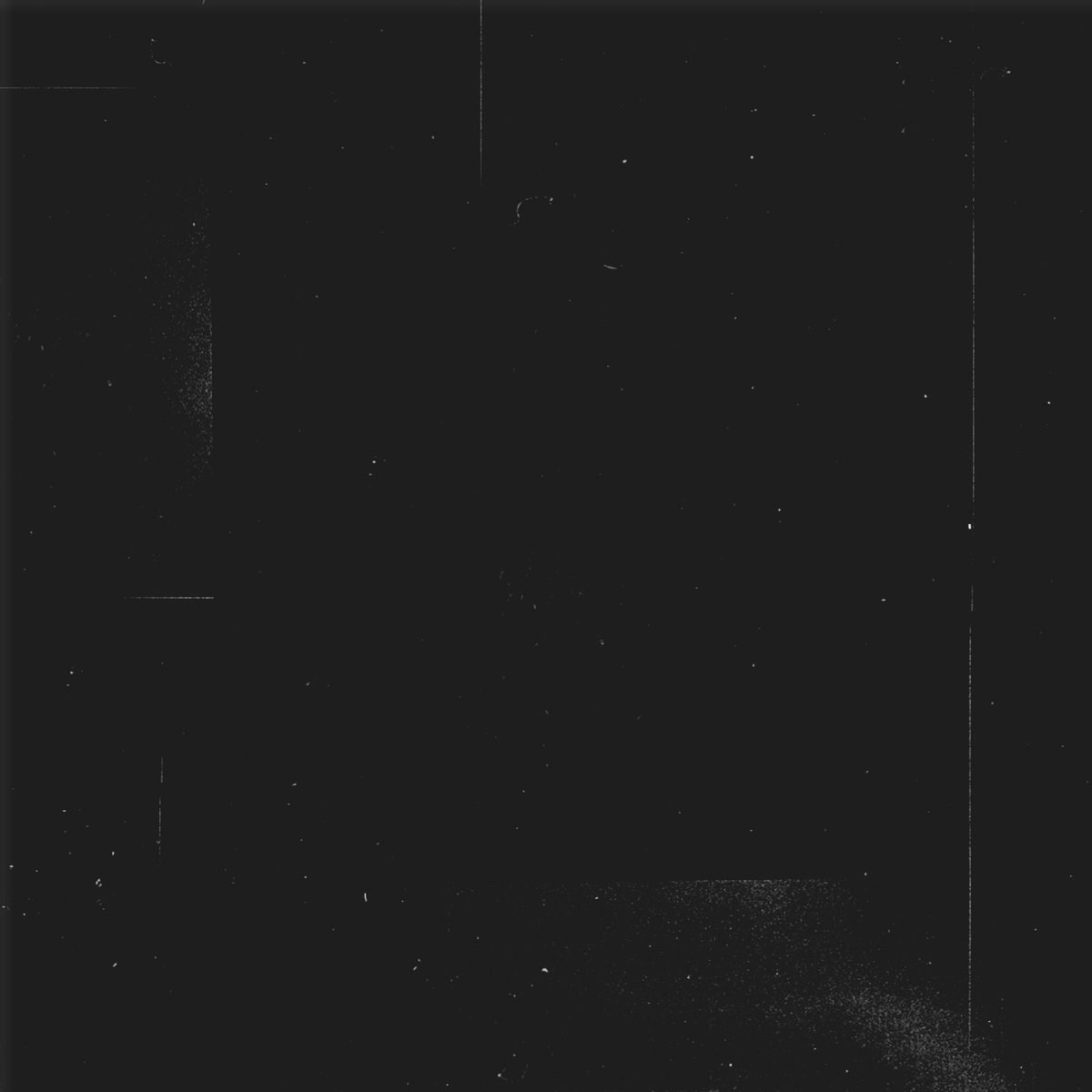 ⋱ 𝑴𝑬𝑳 tweet media