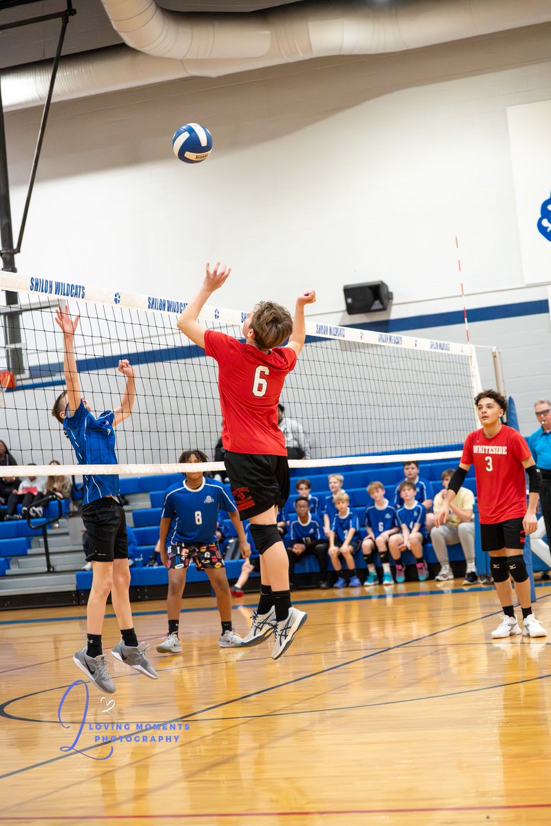 WS Middle tweet media