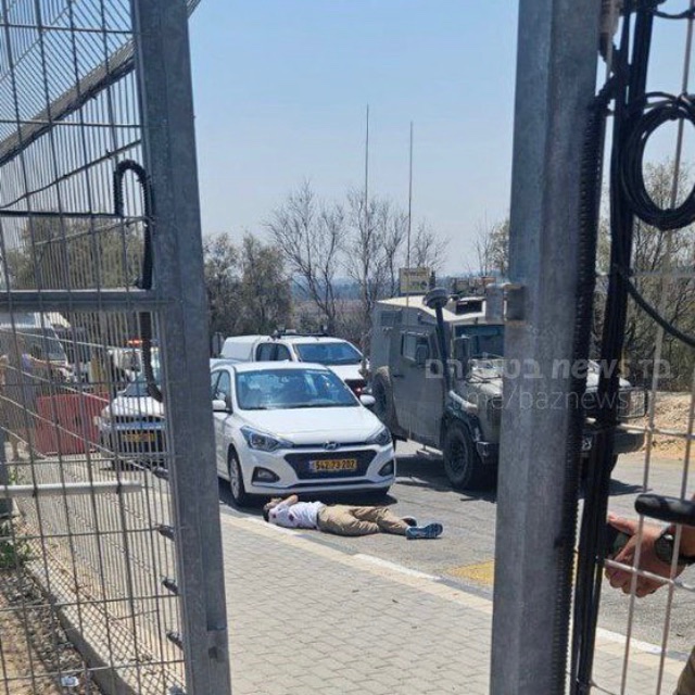 Kelly Bainbridge tweet media