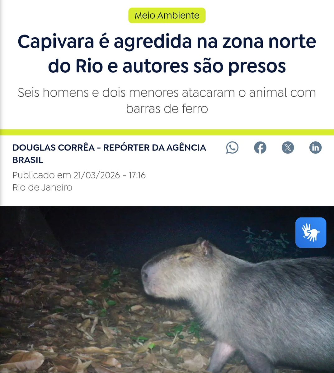 Felipe Tadewald tweet media