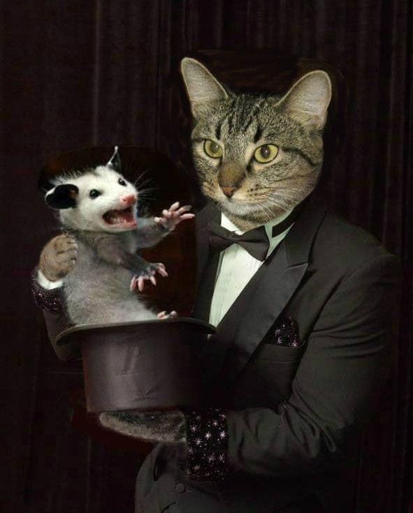 Snaggletooth Screamer tweet media