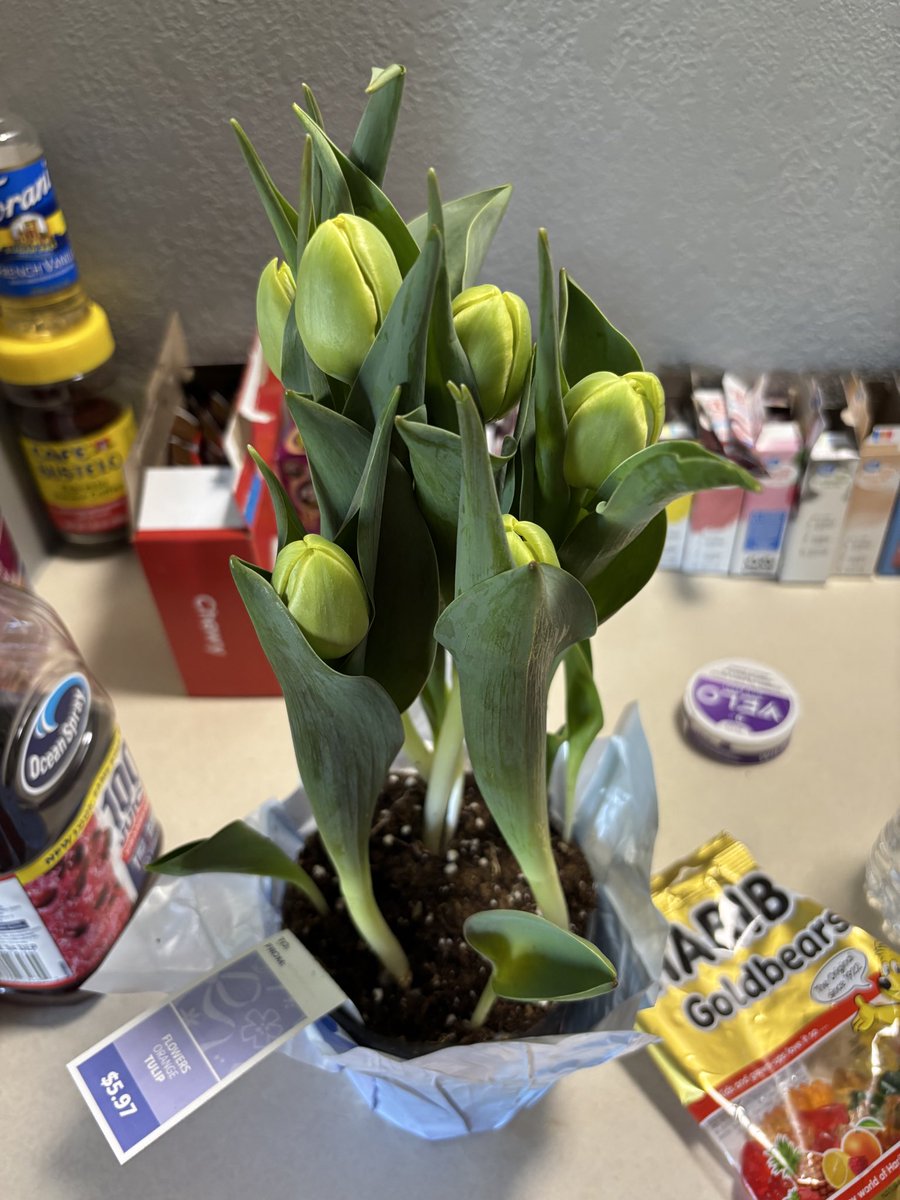 ChrisVworld2 tweet media